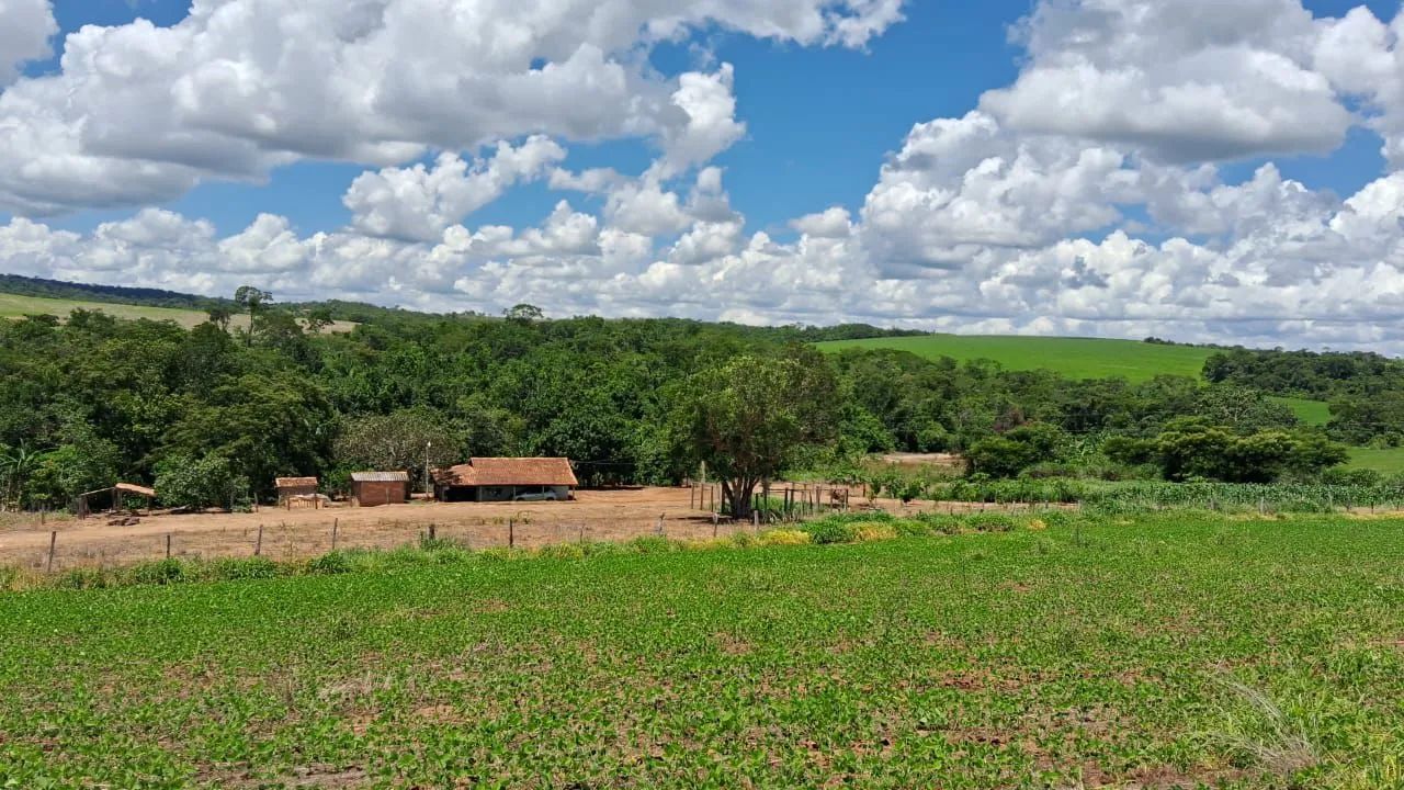 Fazenda em Silvania dupla aptidao - Foto 2