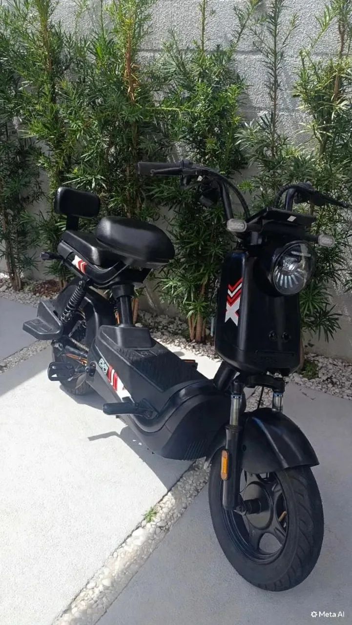 Moto elétrica Panda J10