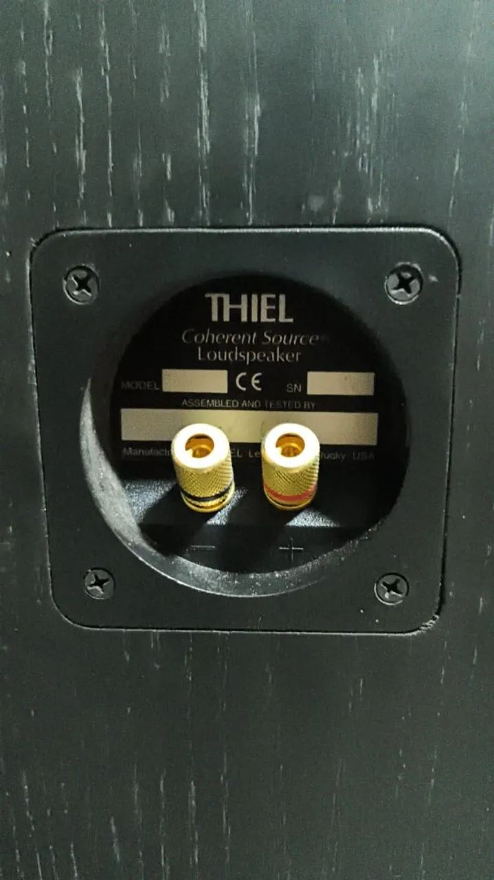 ? Home Cinema High-End Completo - Theta / Thiel / Sunfire / Panasonic - Foto 6