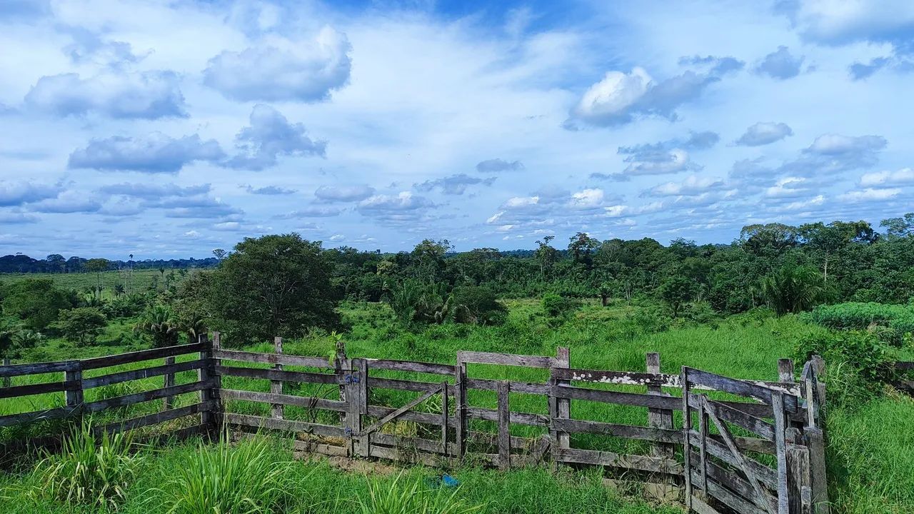 Colônia  - Foto 5