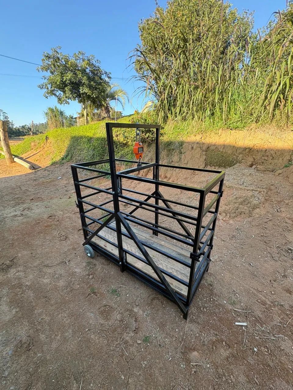 Balança para pesar ovelhas de até 150kg - Foto 6