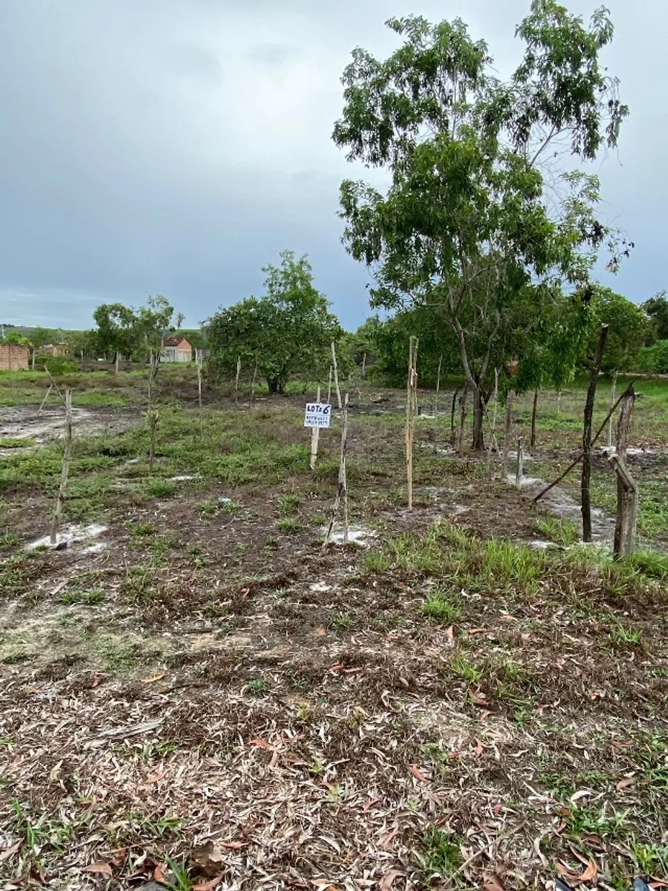 Vendo Lote em Marechal Deodoro  - Foto 2