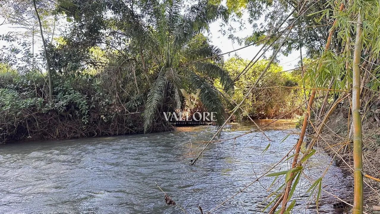 Ribeirão da Cachoeira - Chácara 7.200m² com ribeirão, pomar raro, 2 casas e aceita pets  N - Foto 3