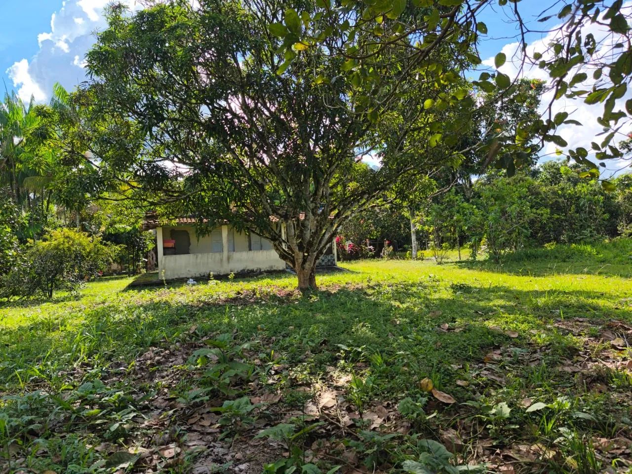 VENDO SÍTIO EM SANTO ANTÔNIO DO TAUÁ.