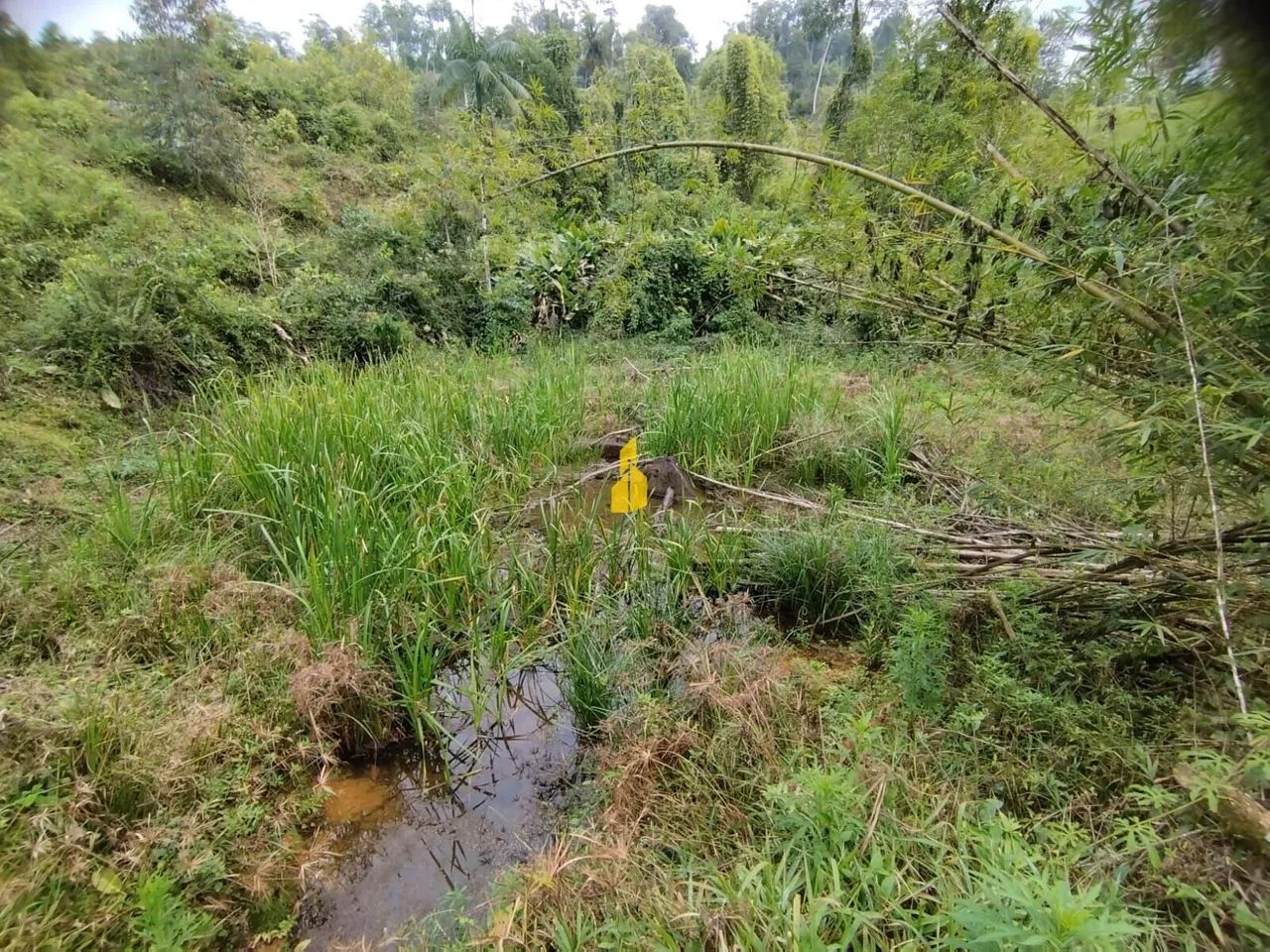 Terreno em Rodeio 32 - Foto 5