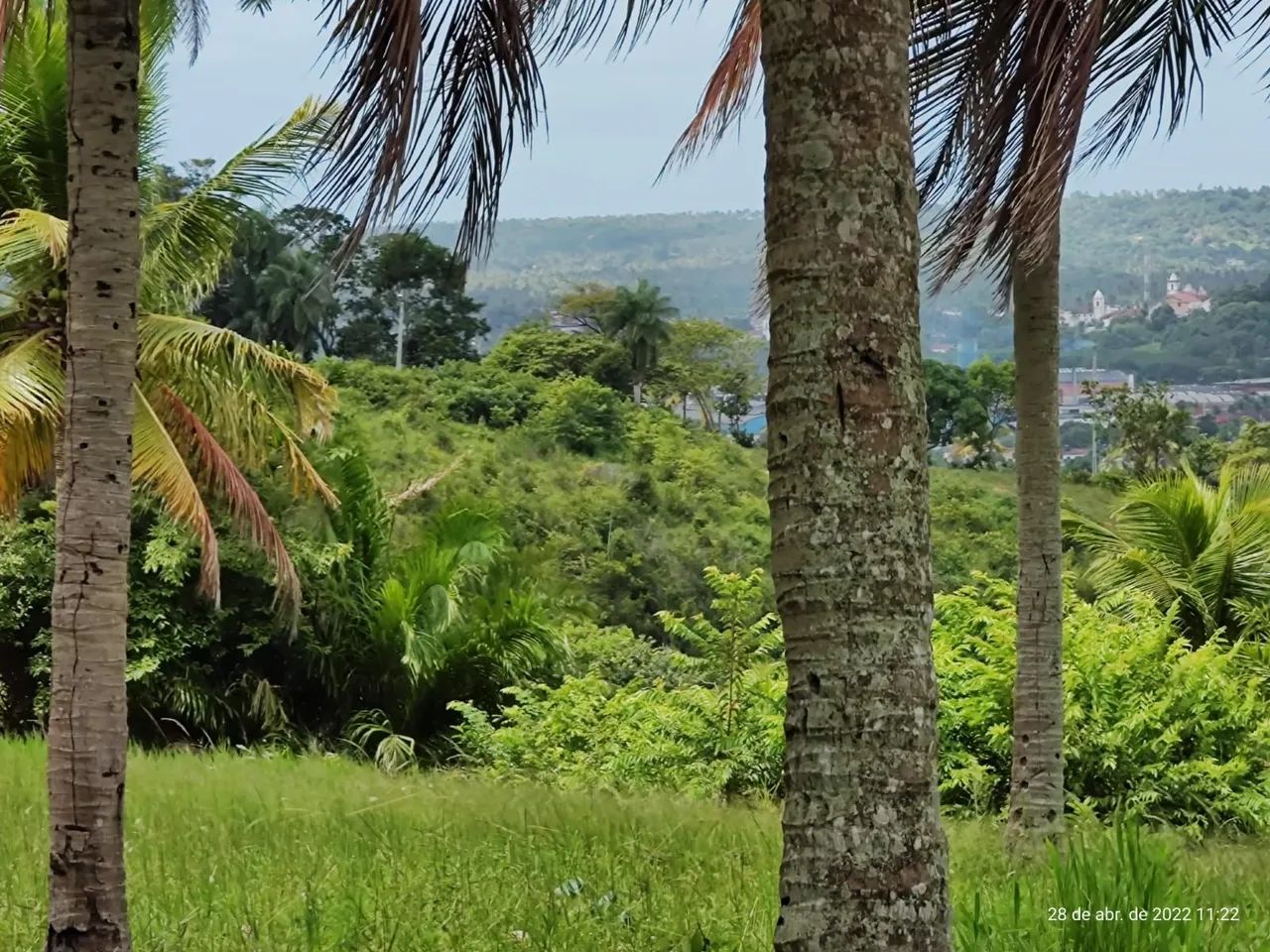 IGARASSU 6ha, com escritura, 200 mil cada Hectare  - Foto 4