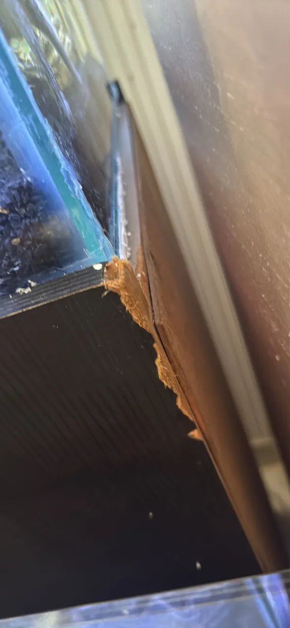 Aquário com móvel  - Foto 5