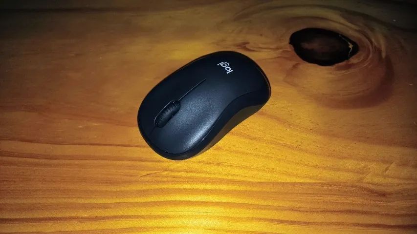 Kit Teclado + Mouse Logitech MK295 Silent Sem Fio - Foto 4