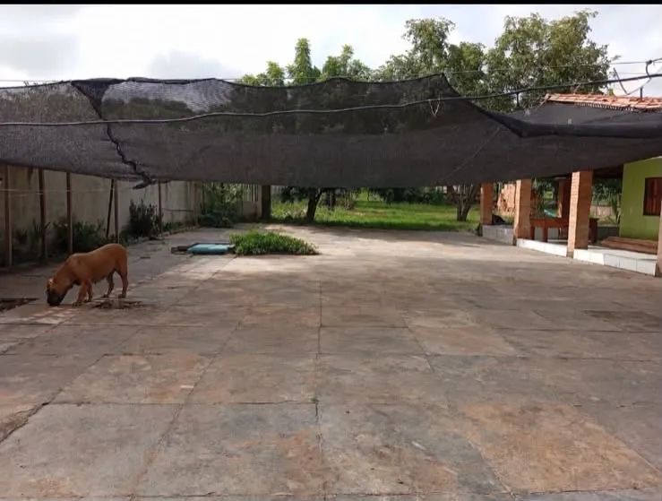 VENDO SÍTIO EM NAZARIA - Foto 5
