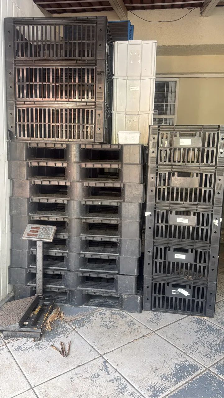 Pallet plástico  - Foto 4