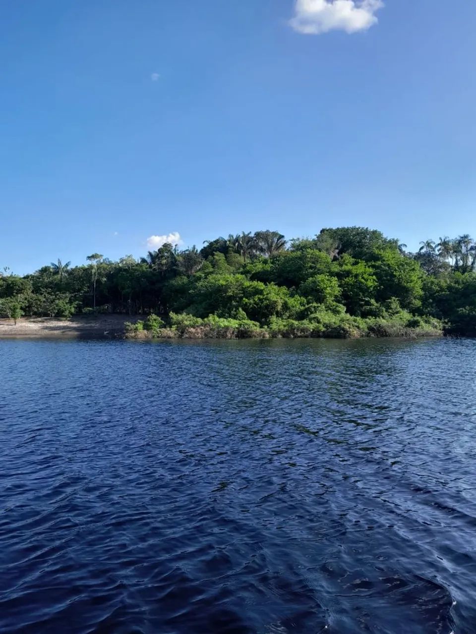 Não  - Foto 3