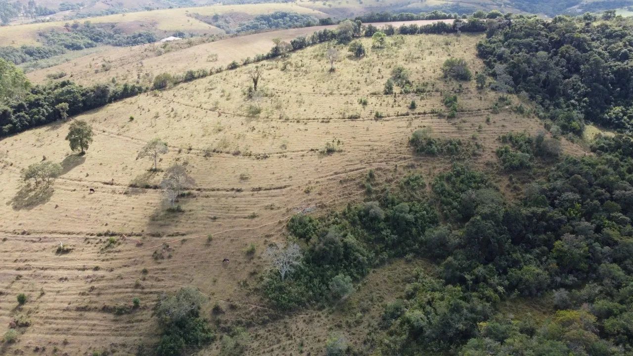 FAZENDA COM 73 HECTARES. - Foto 3
