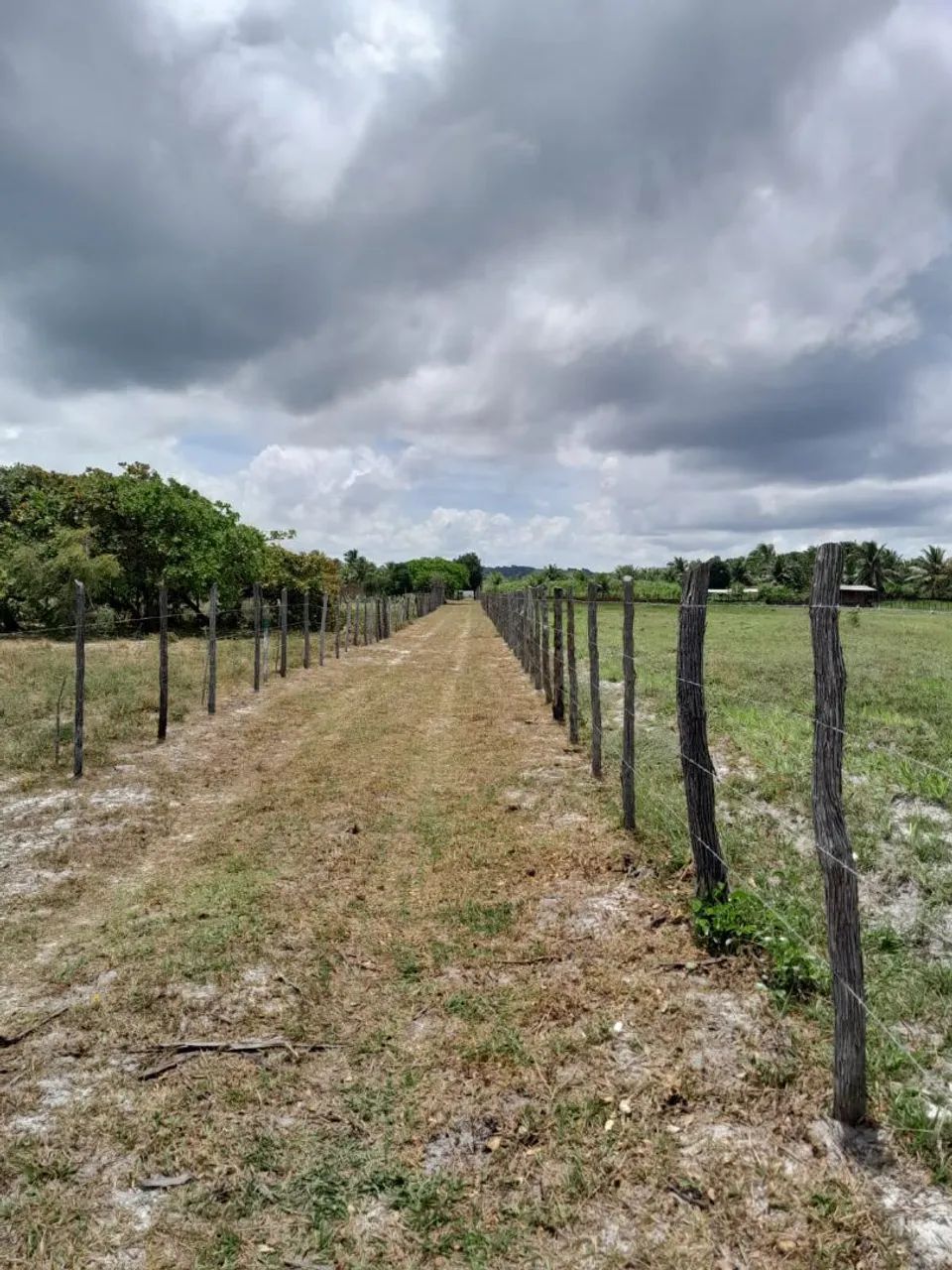 Vendo lotes no Povoado Flexeiras, Santo Amaro-Se<br>Povoado Flexeiras-Santo Amaro-Se - Foto 3