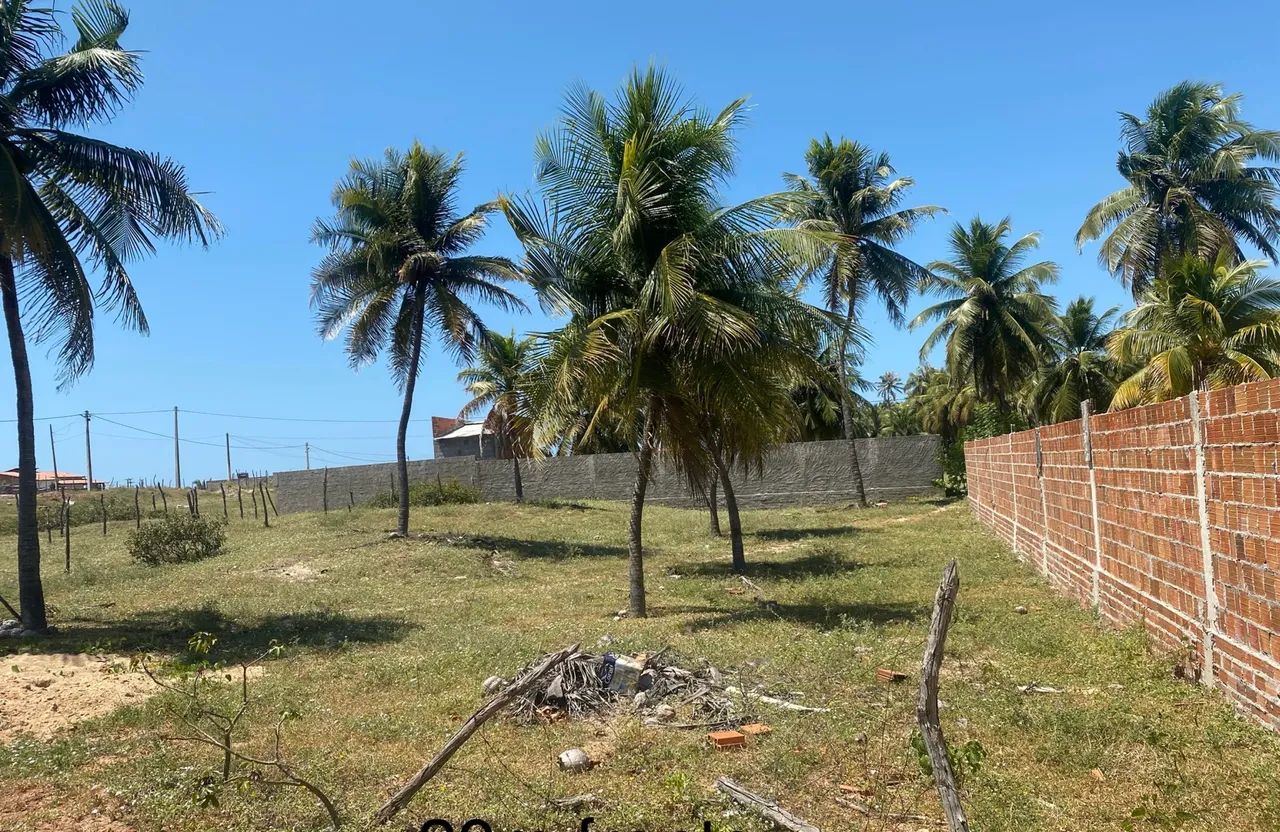 Lote em Guajiru trairi - Foto 2