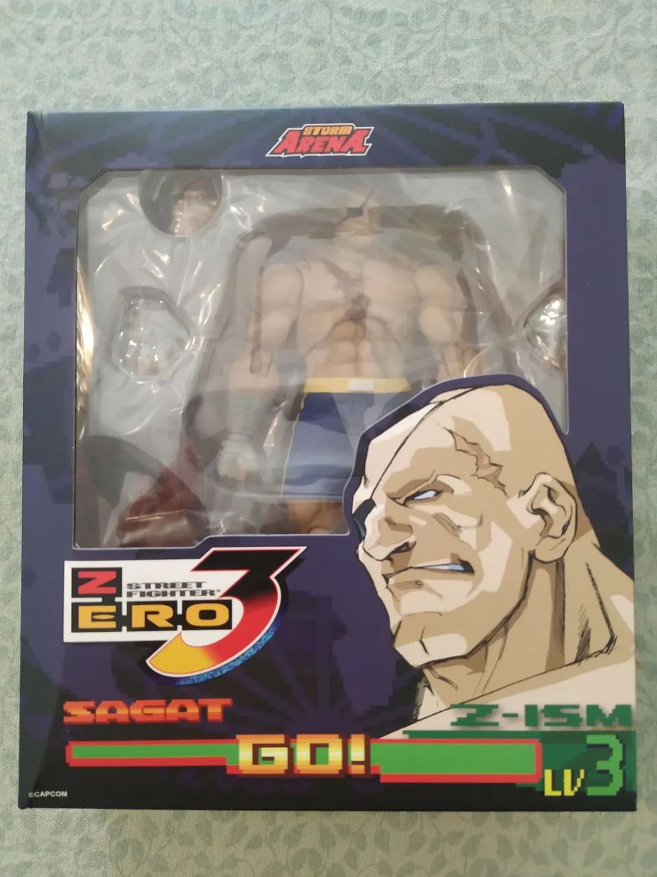 Sagat Storm Arena