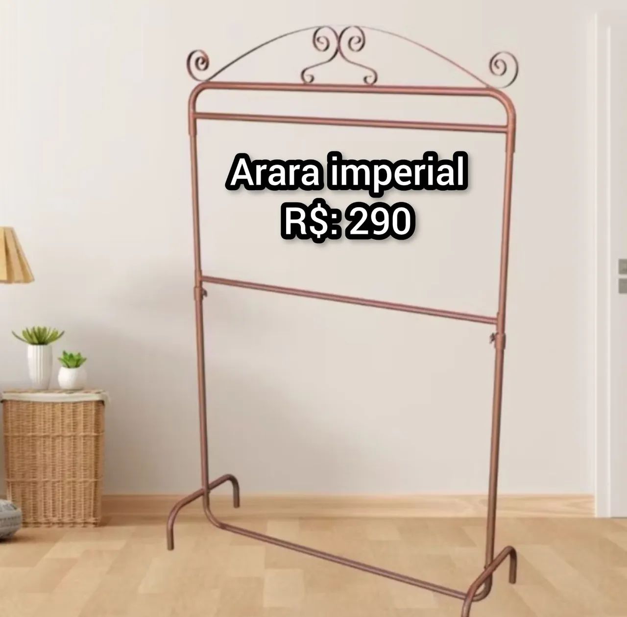 Arara imperial 