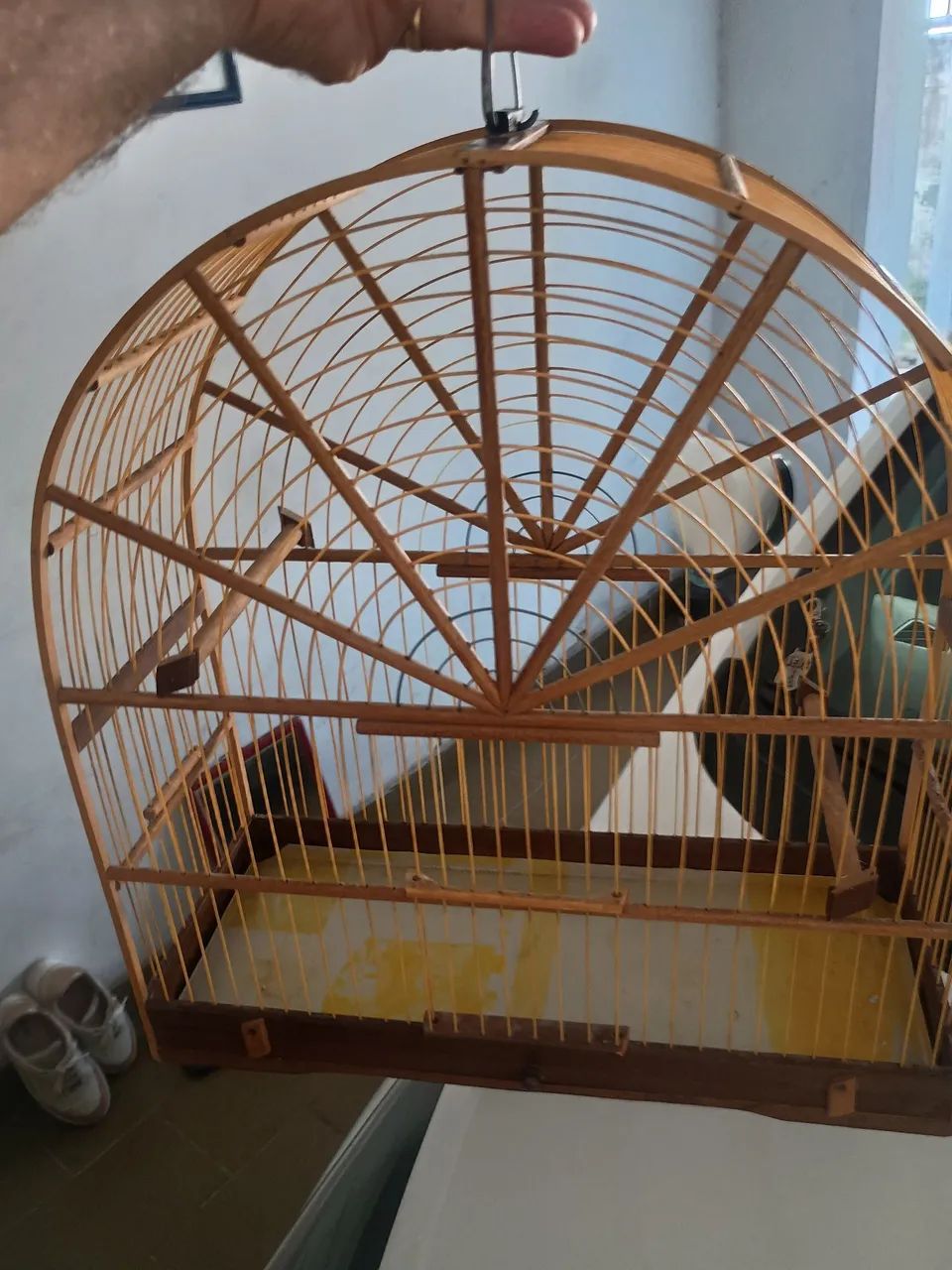 Animais e acessórios  - Foto 3