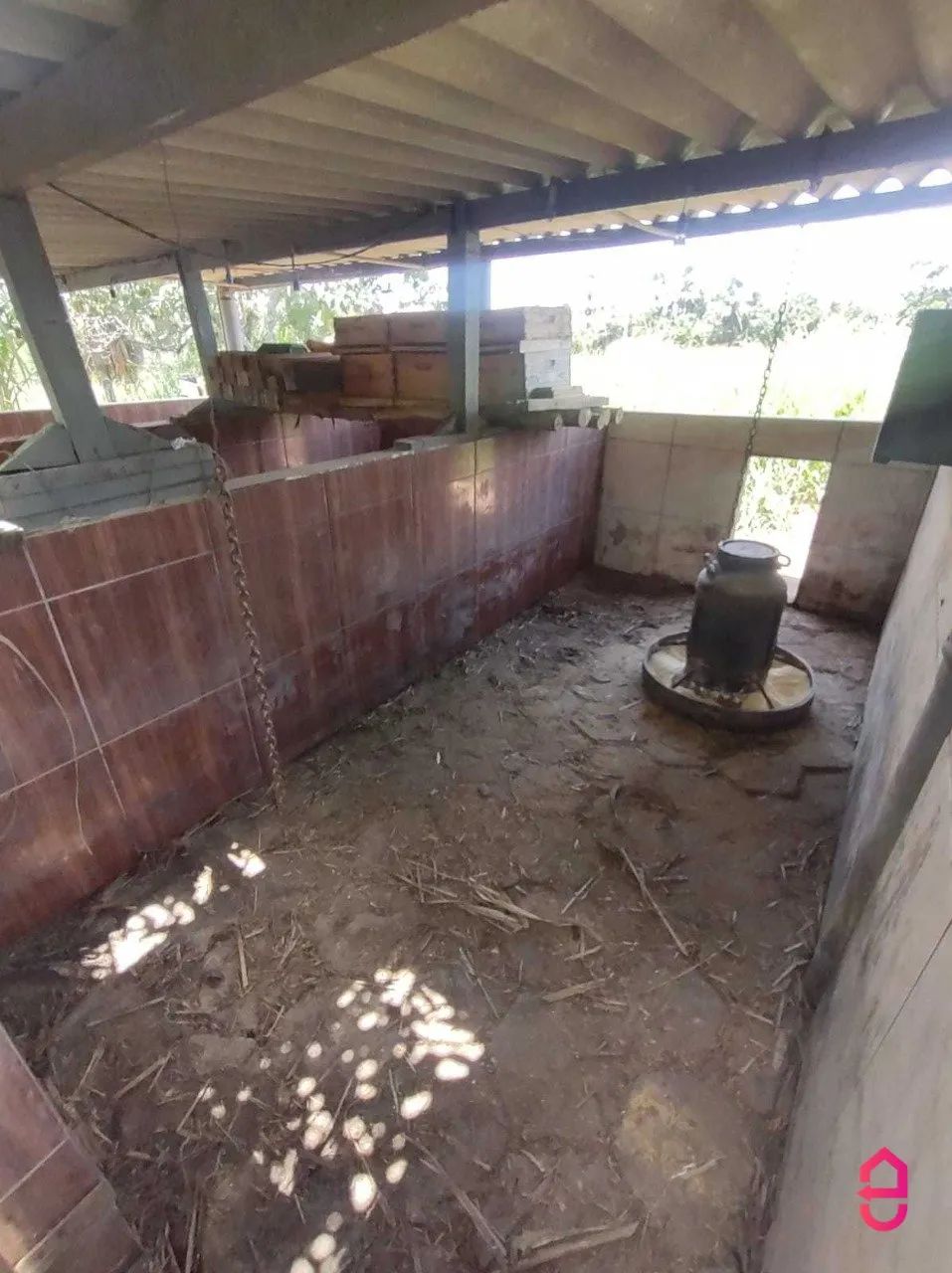 Chácara de 05 Alqueires em Cromínia - GO - Foto 5
