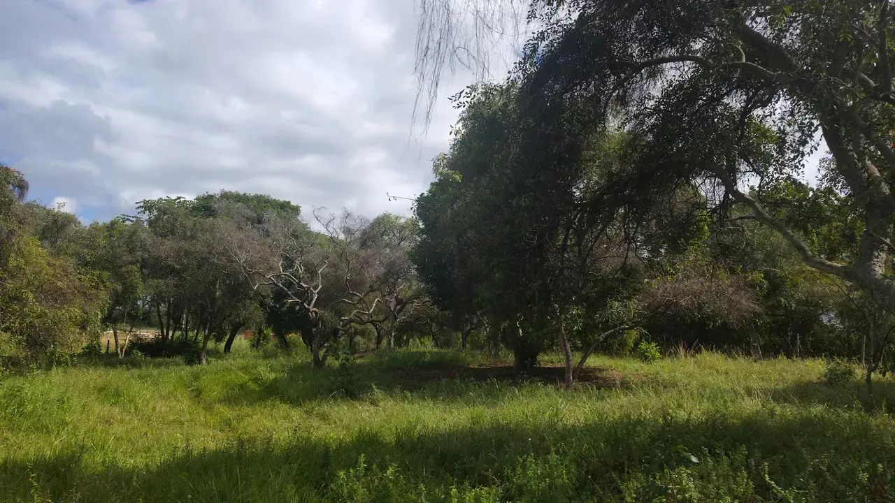 área lagoa tambaquis beira lagoa - Foto 5