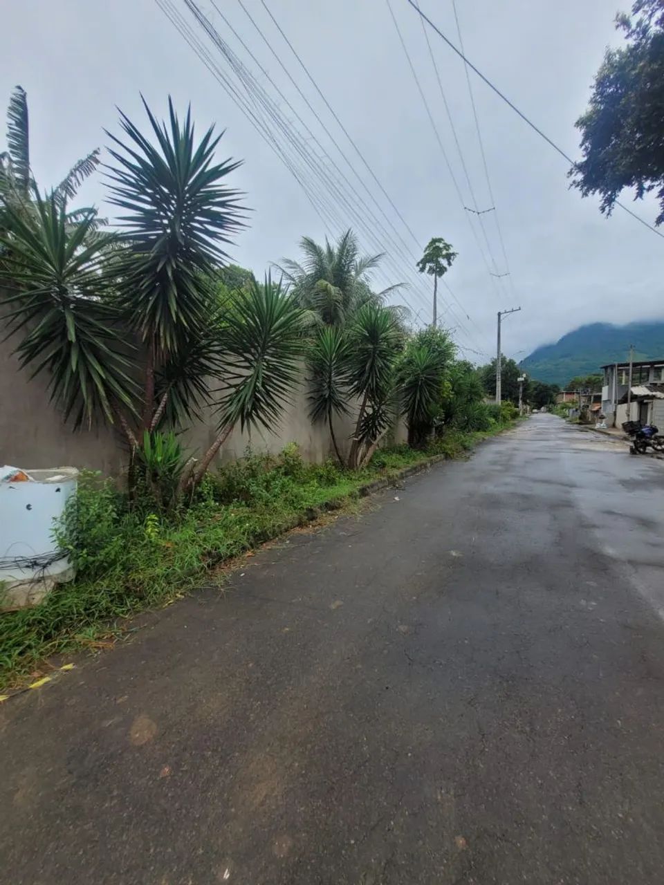Lote Novo Brasil  - Foto 4