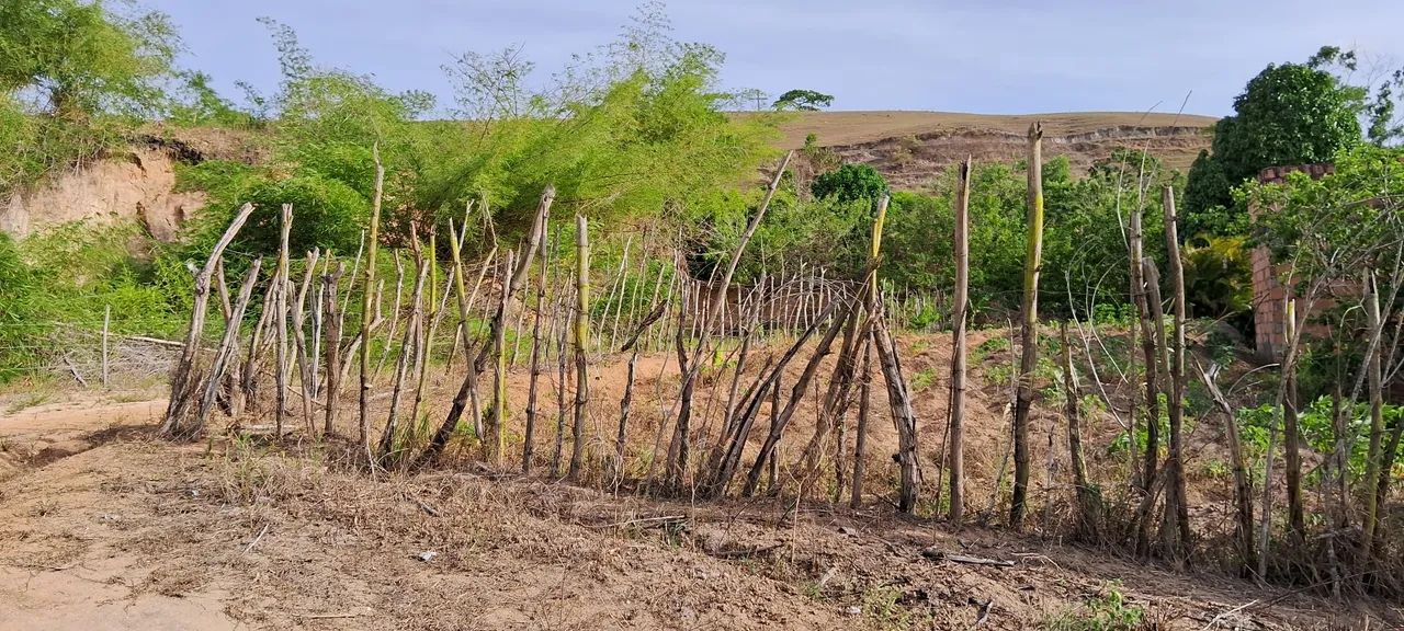 Venda de Terreno  - Foto 2