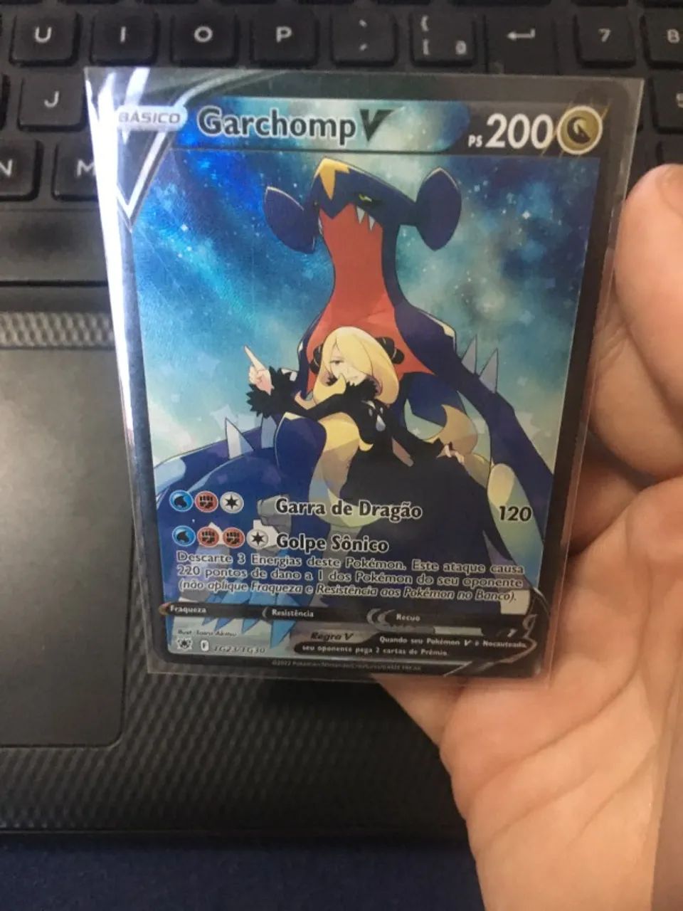 Garchomp V - full art (NM)