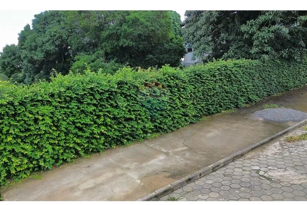 Terreno Ideal em Itamaraju: 247m² no Centro! - Foto 2