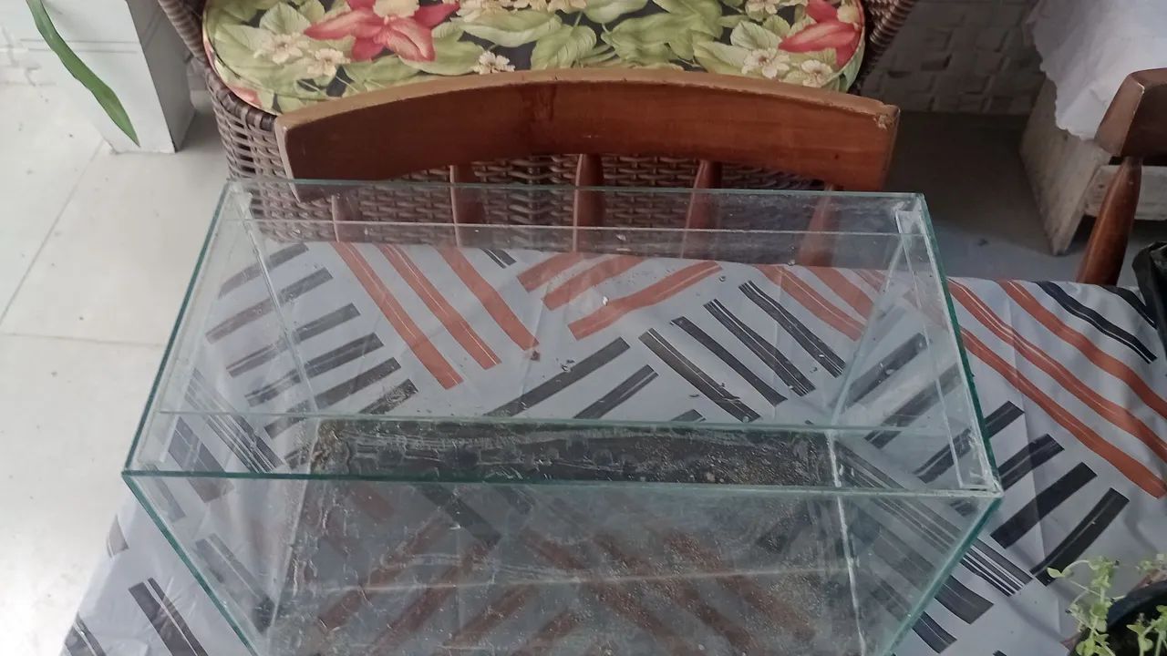 Aquário  - Foto 2