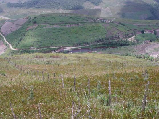 Fazenda com 80 hectares em Amaraji/Pe - REF. 286 - Foto 3