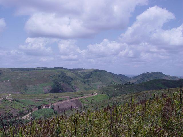Fazenda com 80 hectares em Amaraji/Pe - REF. 286 - Foto 9