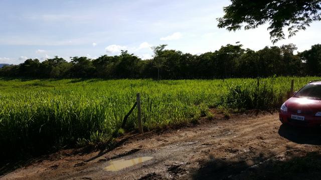 Sítio em Belvedere - Foto 10