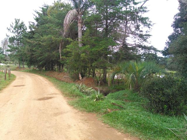 Chácara de 1 Alqueire . 4 km do Jordão - Guarapuava PR - Foto 8