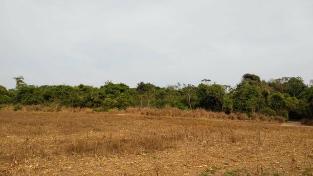 Fazenda Fechada Nova Ubiratã - 1568ha - Foto 5