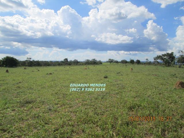 Terra c/ um alqueire sem benfeitorias, 600 metros da BR 060 Abadiânia, expansão Urbana - Foto 17