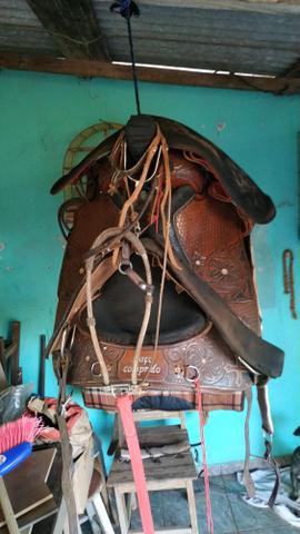 Vendo cavalo Qm puro tp - Foto 5