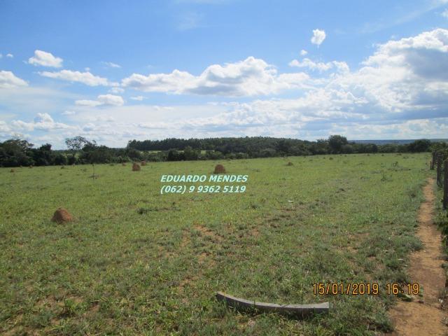 Terra c/ um alqueire sem benfeitorias, 600 metros da BR 060 Abadiânia, expansão Urbana - Foto 2