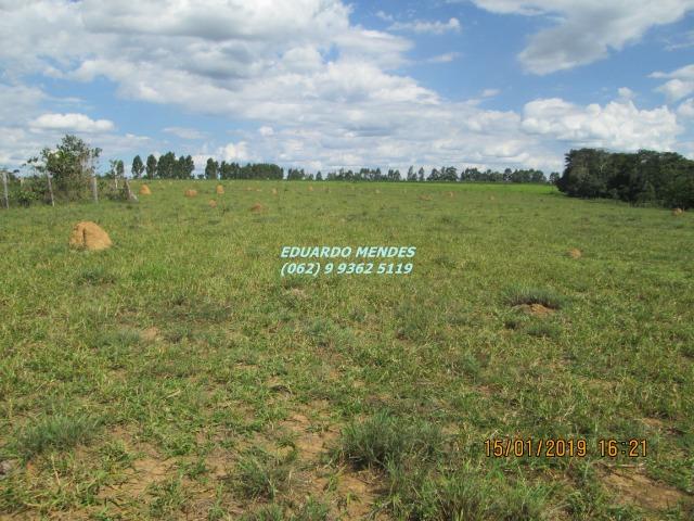 Terra c/ um alqueire sem benfeitorias, 600 metros da BR 060 Abadiânia, expansão Urbana - Foto 12