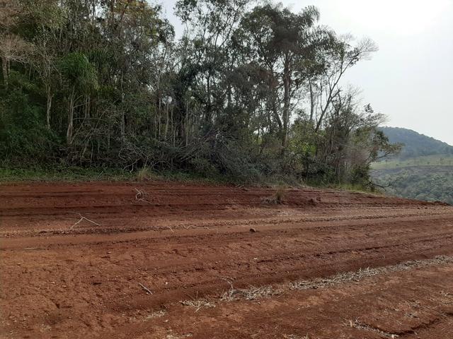 Fazenda de 94 alqueires .Alagado Rio da Areia - Faxinal do Céu . Pinhão PR - Foto 5