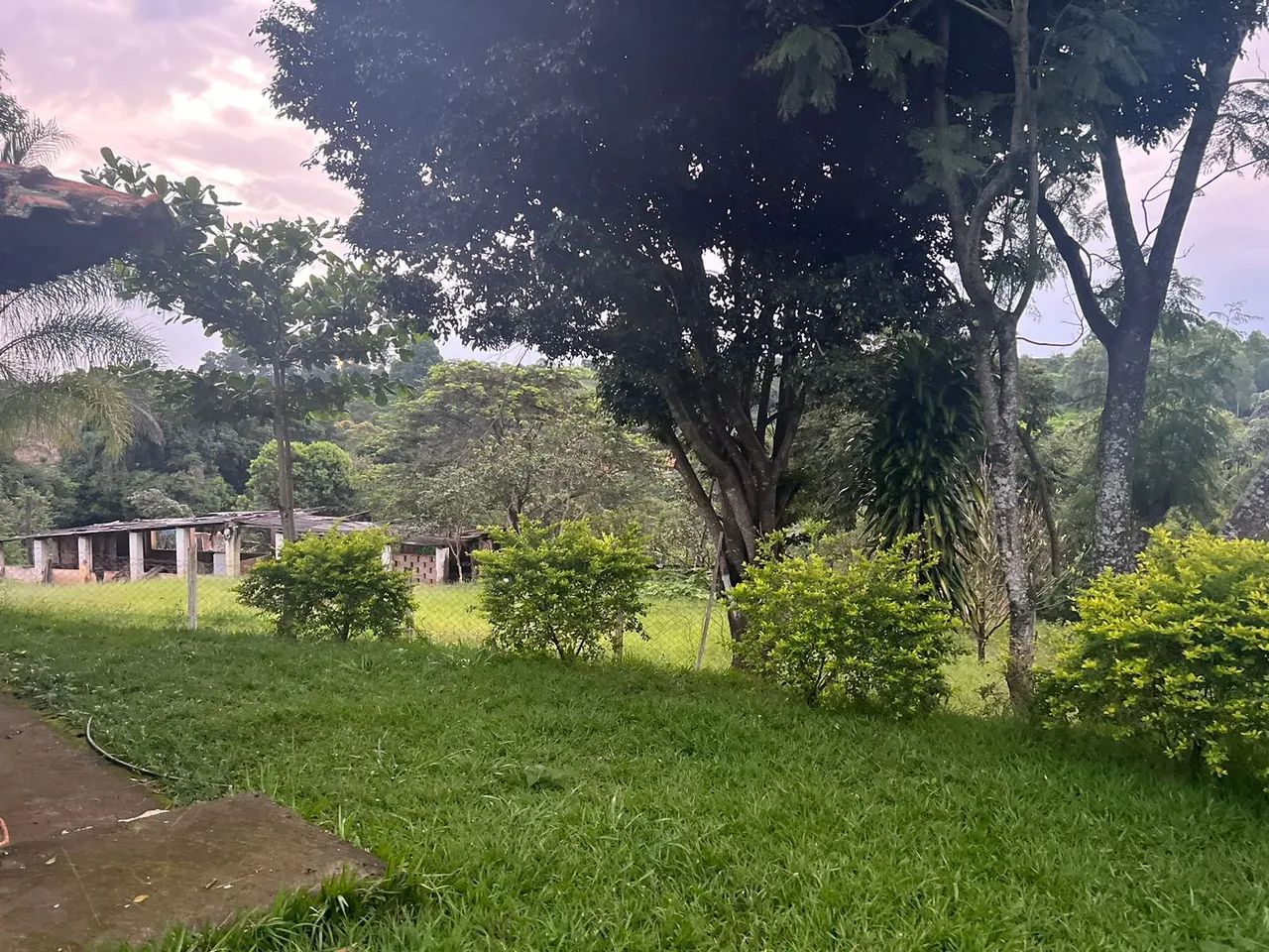 foto - Ribeirão Preto - Jardim Manoel Penna