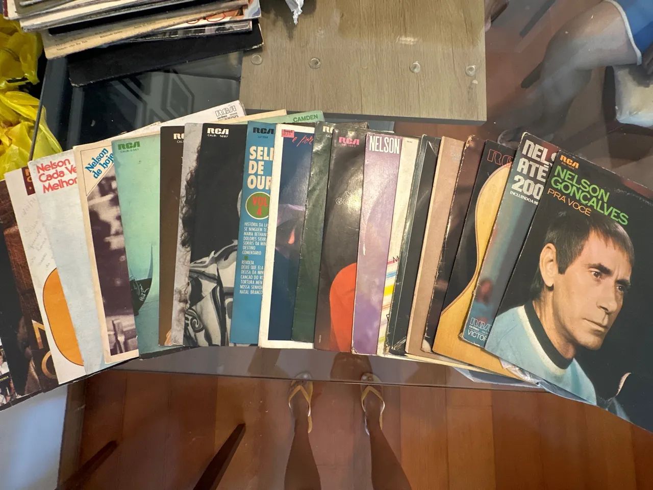 Coleção de Disco de Vinil Nelson Gonçalves -  21 discos
