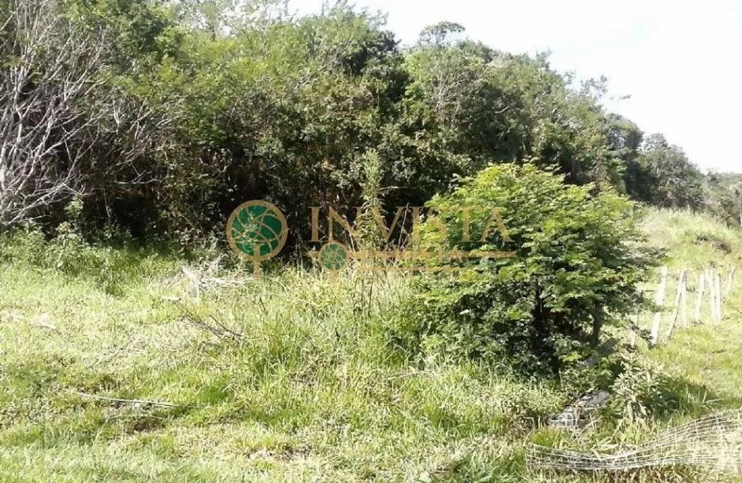 À venda | Terreno com 5.560 m² - Pantanal, em Florianópolis. - Foto 4