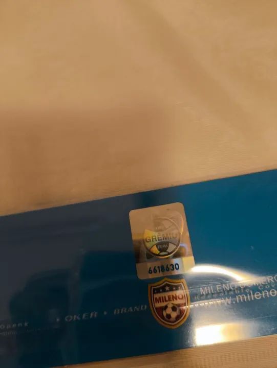 Grêmio - Foto 4