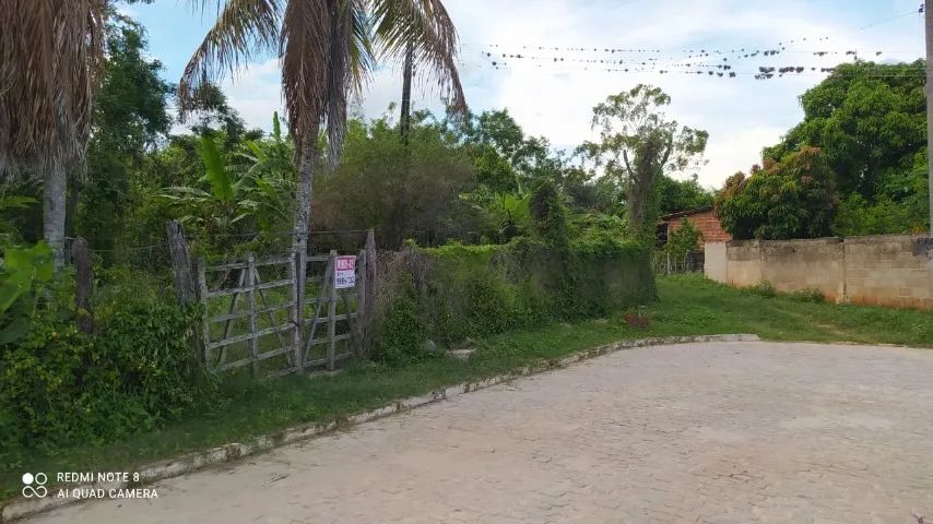 Chácara 10.000m2 a 14km de Sr. do Bonfim/BA - Foto 5