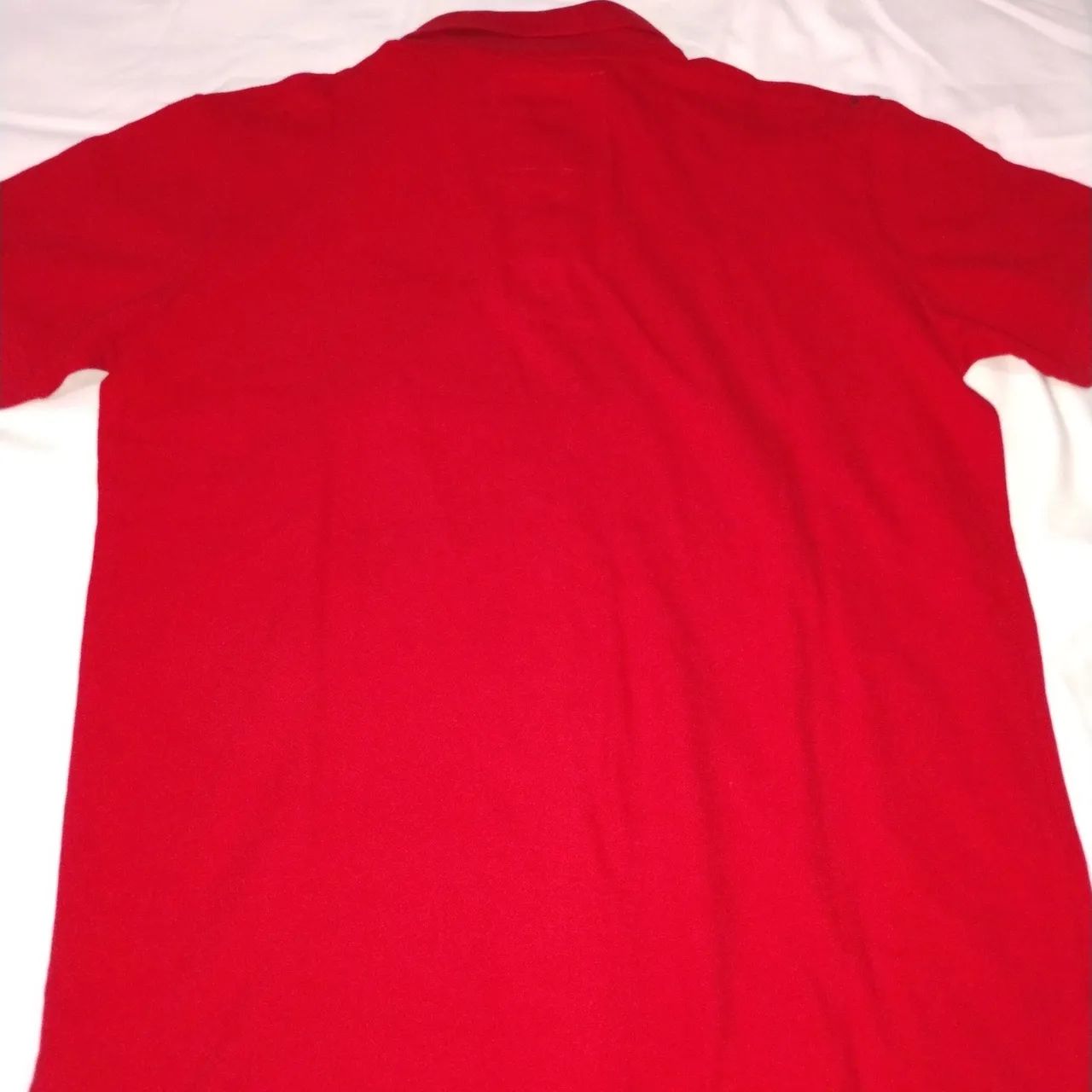 Polo Hollister  - Foto 4
