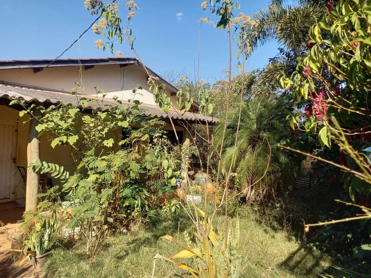 Vendo uma chácara a 15 km de Campo Grande MS  - Foto 4