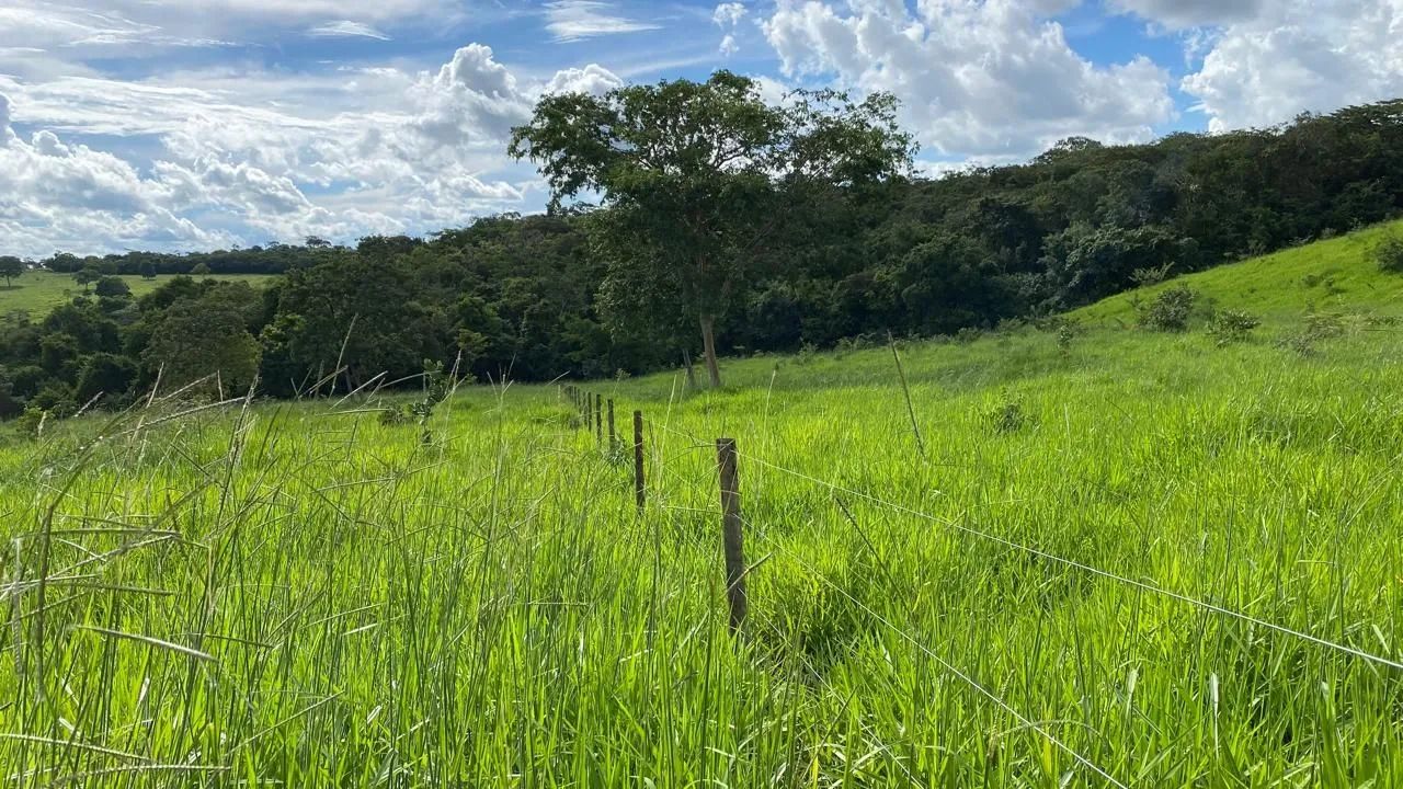 20mil mt em Bela Vista 70km de Goiânia ! - Foto 2
