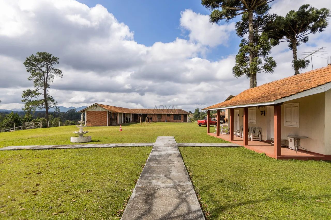 Haras em Piraquara - ARYA 1 - Foto 3