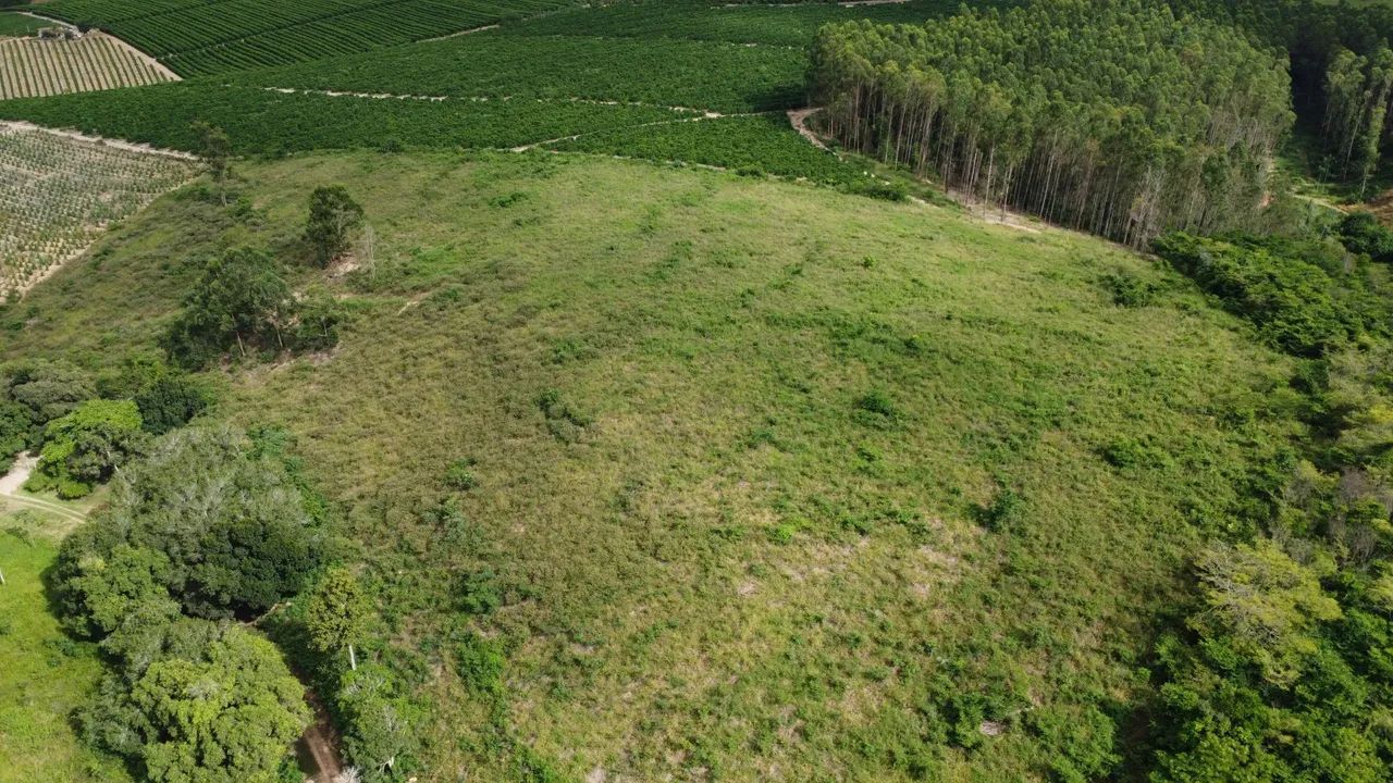 Terreno com área verde em localização privilegiada - Foto 4