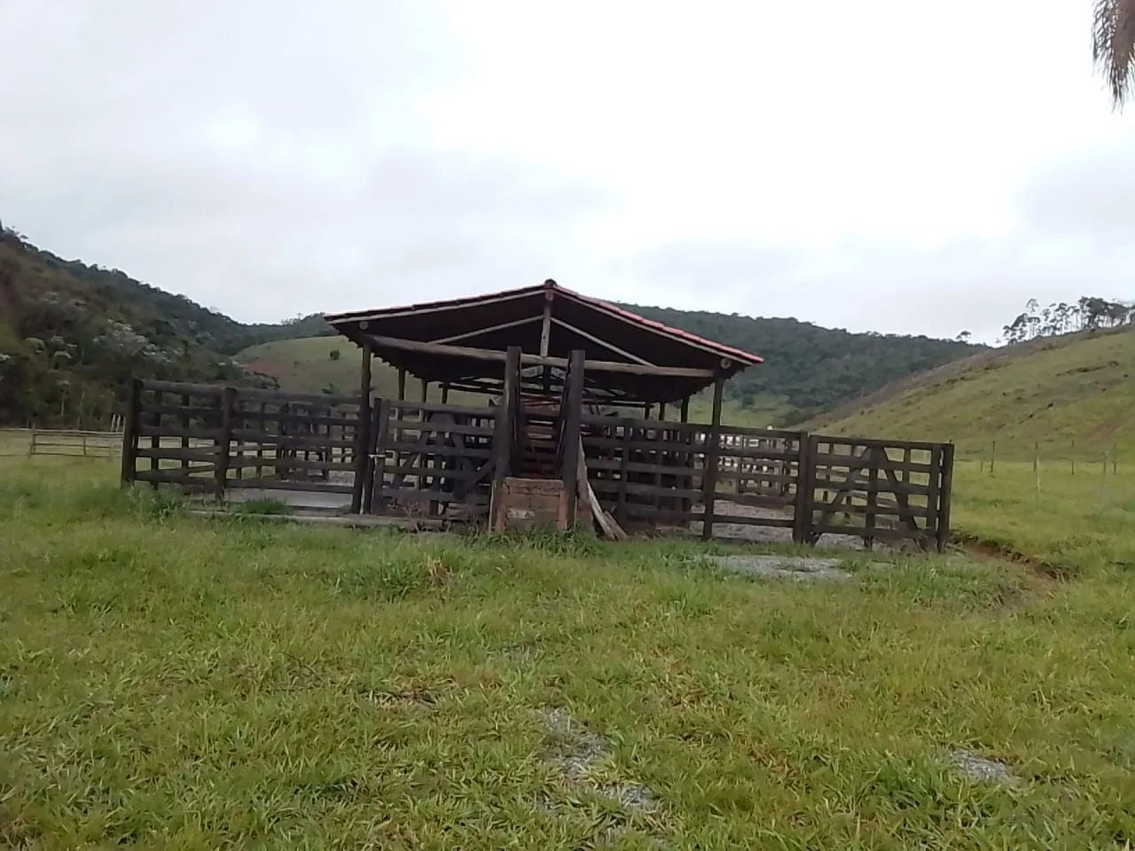 GRANDE OPORTUNIDADE Linda fazenda localizada na serra do município de Merces - Foto 9