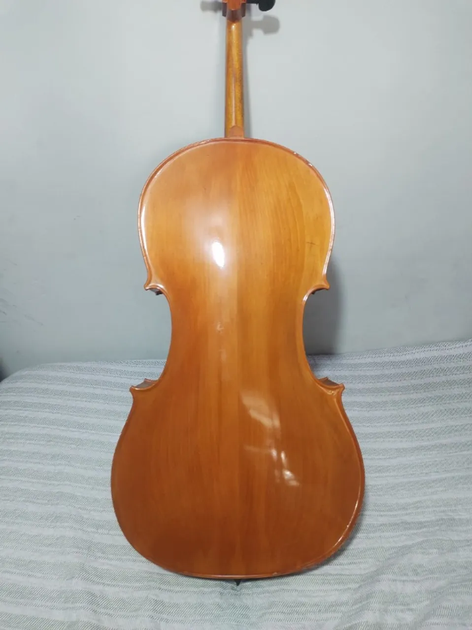 Violoncelo